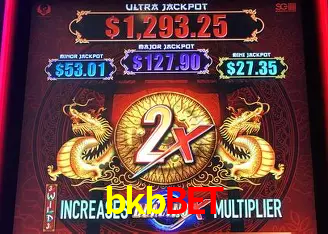 A Experiência Imersiva dos Cassinos Ao Vivo no bkbbet